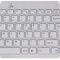 Asus EEE White Asus EEE White